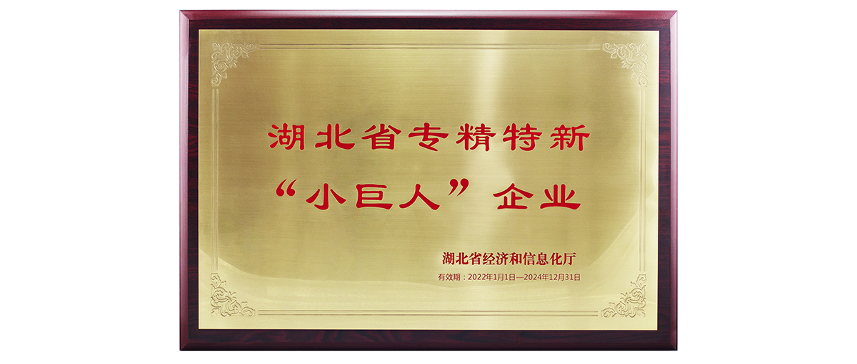 邁信電氣獲湖北省專精特新“小巨人”企業(yè)榮譽(yù)稱號